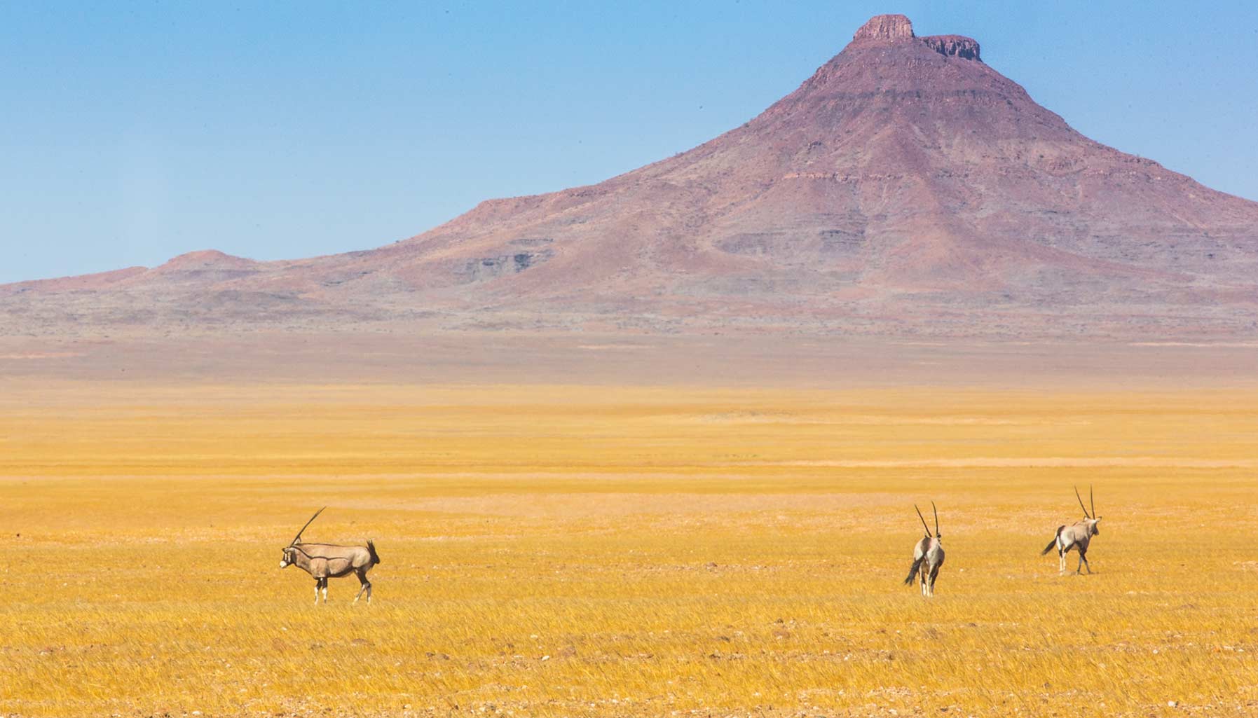 Fragrance of the month: Jo Malone Myrrh and Tonka Cologne Intense