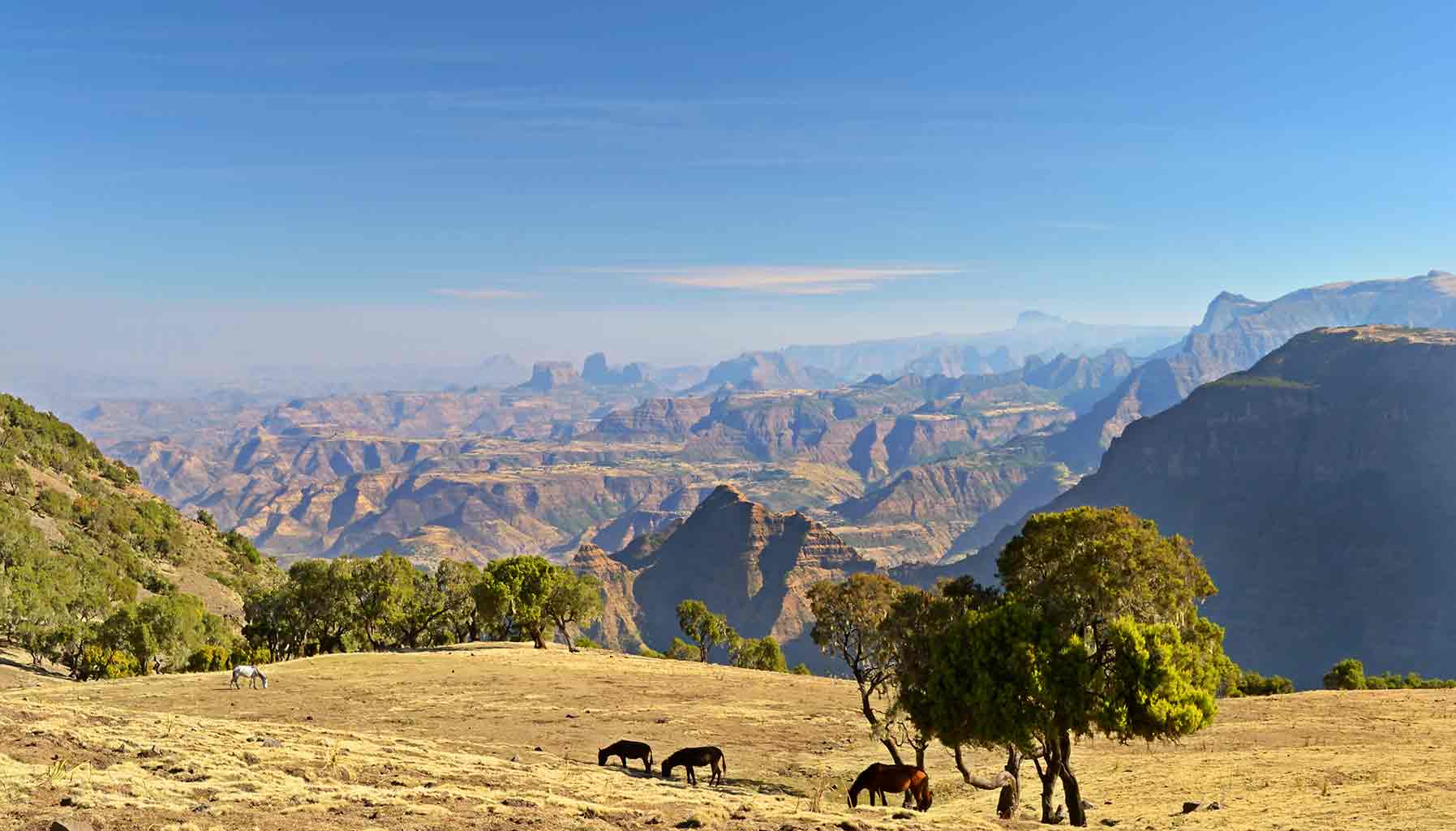 Ethiopia