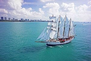 Sail to Lazarus Island with Royal Albatross