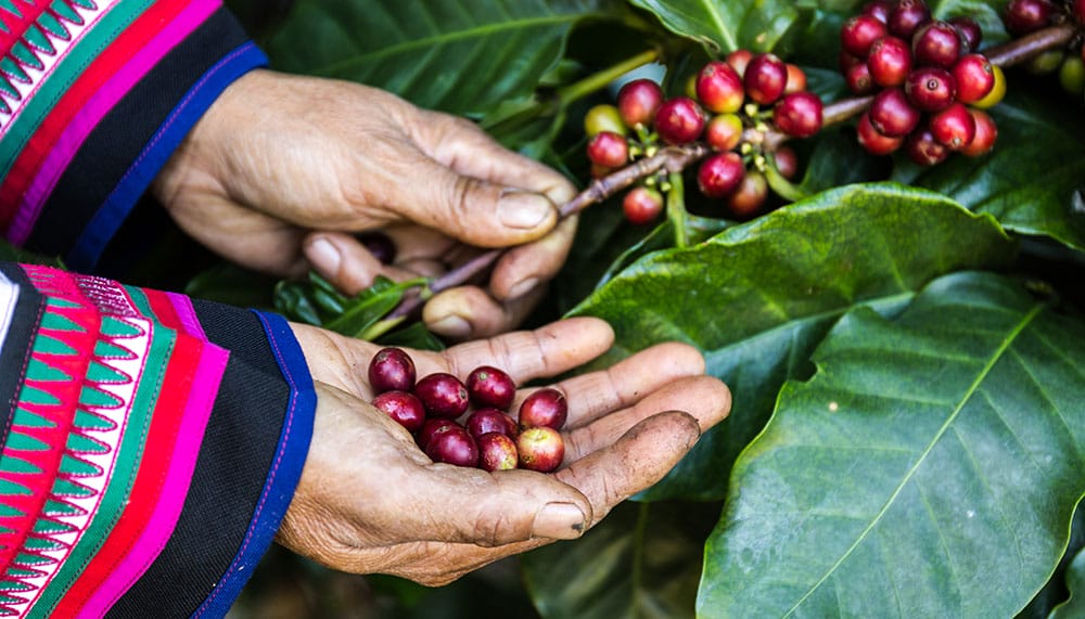 ECOnCoffee_1